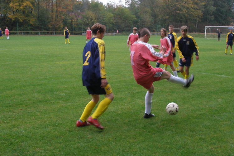 PA100256.jpg